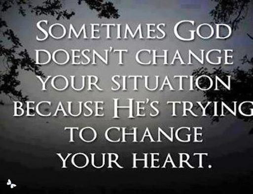 313339_348378821945423_1362029115_n